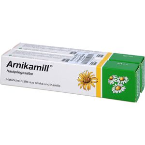 Arnikamill Hautpflegesalbe 100 g 100 g