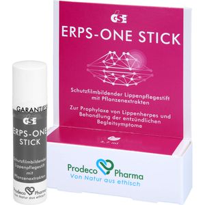 GSE ERPS-ONE Stick