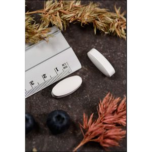 MAGNESIUM CITRAT 400 mg Tabletten