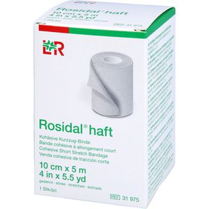 Rosidal haft Kompressionsbinde 10 cmx5 m 1 St 1 St