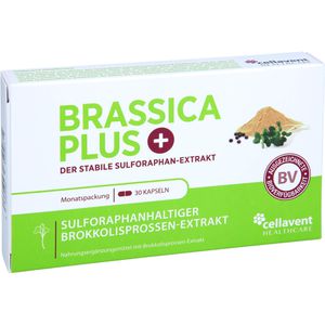 BRASSICA PLUS Kapseln