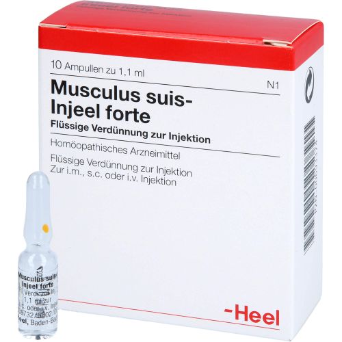 MUSCULUS SUIS Injeel forte Ampullen