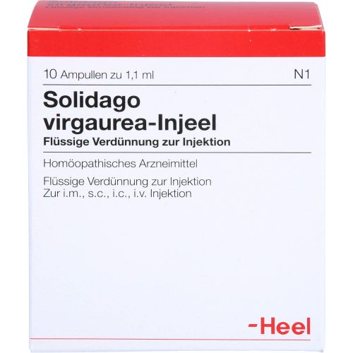 SOLIDAGO VIRGAUREA INJEEL Ampullen