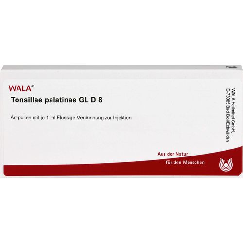 TONSILLAE palatinae GL D 8 Ampullen