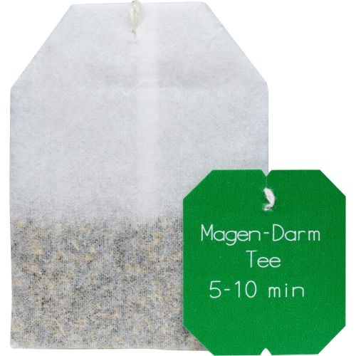 MAGEN-DARM TEE Kräutertee Nr.20a Bio Salus Fbtl.