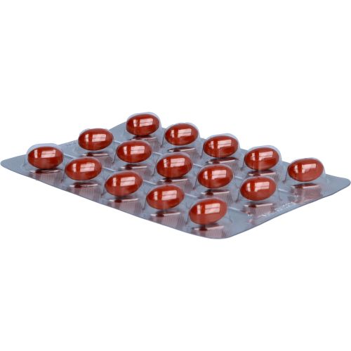 DOPPELHERZ Q10 Ubiquinol 100 system Kapseln