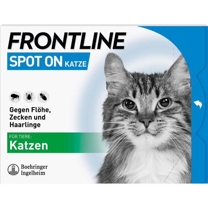 Verhütungsspritze Für Katzen Kosten