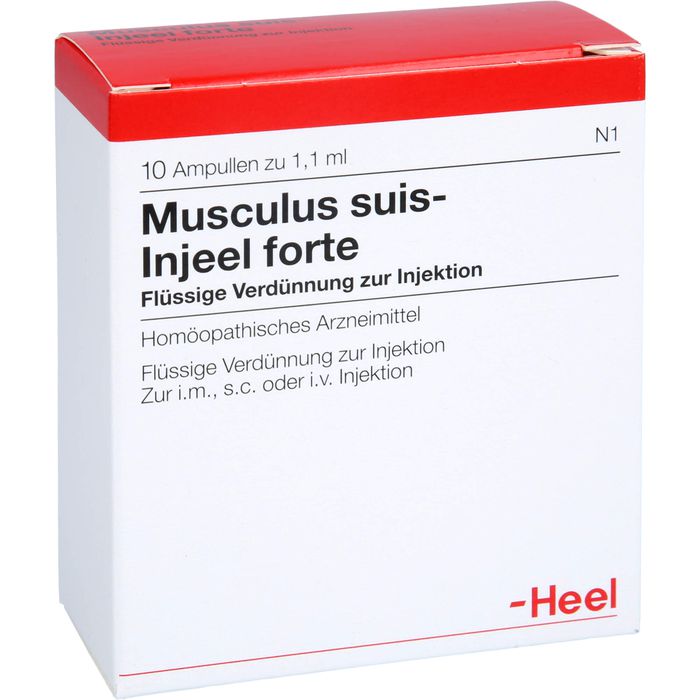 MUSCULUS SUIS Injeel forte Ampullen