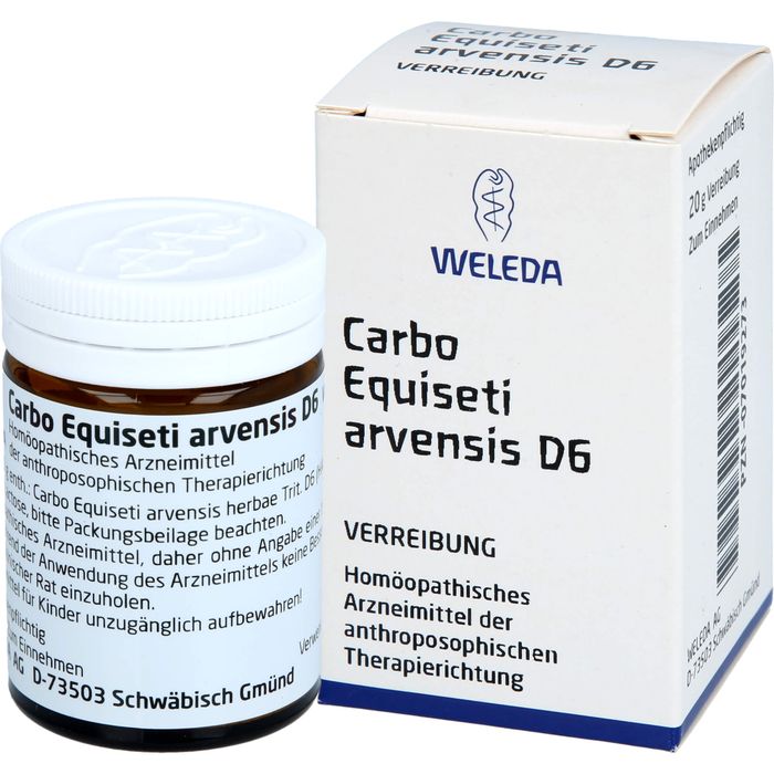 CARBO EQUISETI arvensis D 6 Trituration