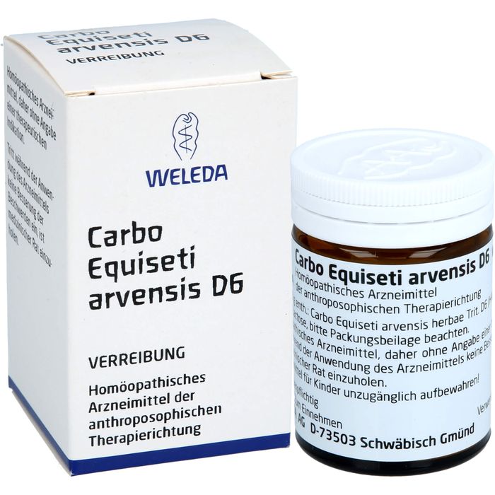 CARBO EQUISETI arvensis D 6 Trituration