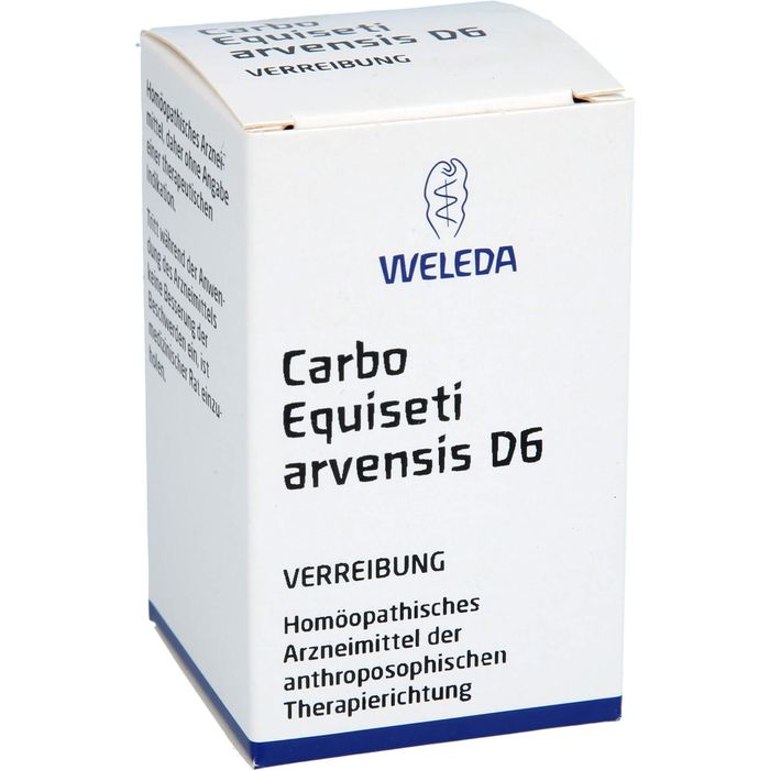 CARBO EQUISETI arvensis D 6 Trituration